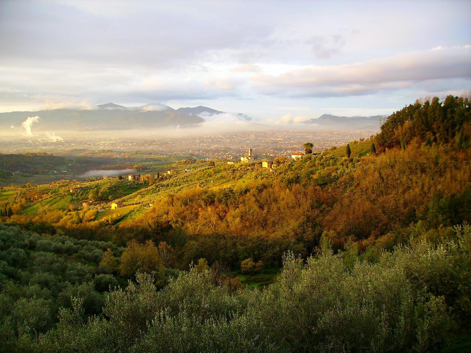 فيلا Fattoria Gambaro Di Petrognano كولودي المظهر الخارجي الصورة
