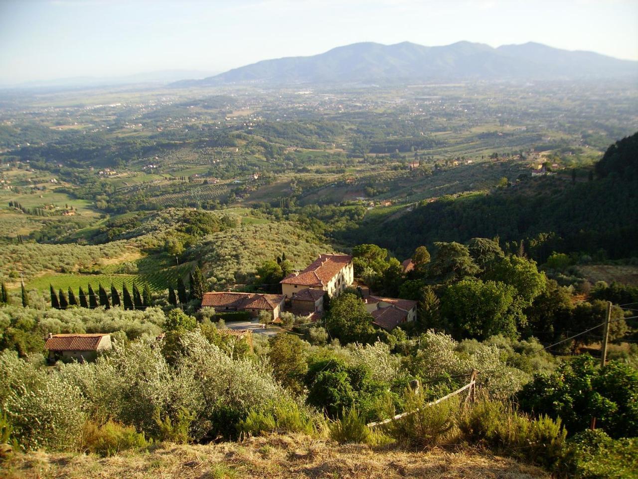 فيلا Fattoria Gambaro Di Petrognano كولودي المظهر الخارجي الصورة